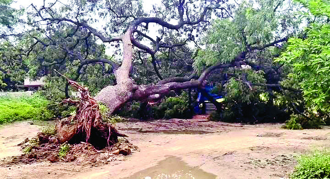 మాజీ మంత్రి శైలజానాథ్కు అస్వస్థత 1