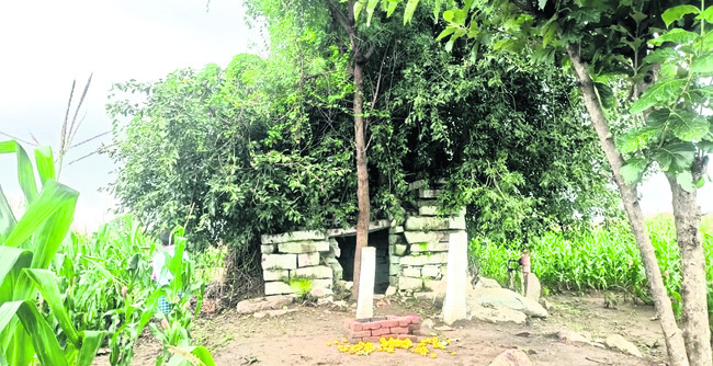 ర్యాగట్లపల్లిలో గుప్తనిధుల కోసం తవ్వకాలు! 1