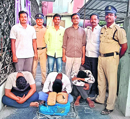 ● గంజాయినే ఎందుకు వాడుతున్నారంటే.. 1
