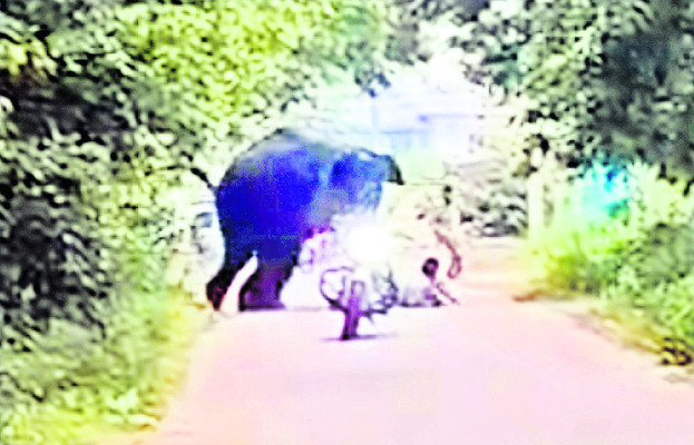 భయంకరి1