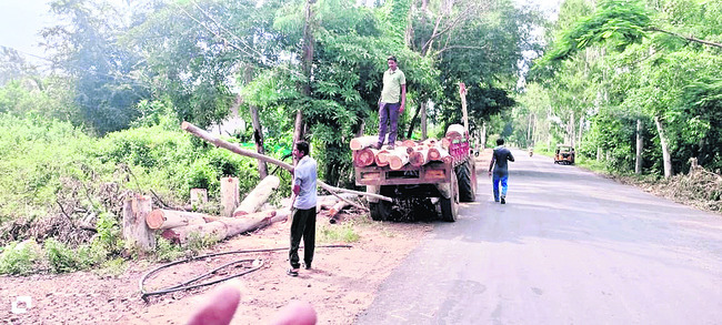 గిరిజన విద్యార్థికి  ఆర్థికసాయం 1