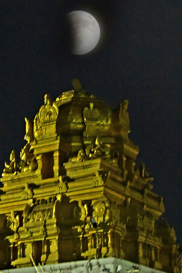 Best Photos of The Week in AP and Telangana Photo Gallery16