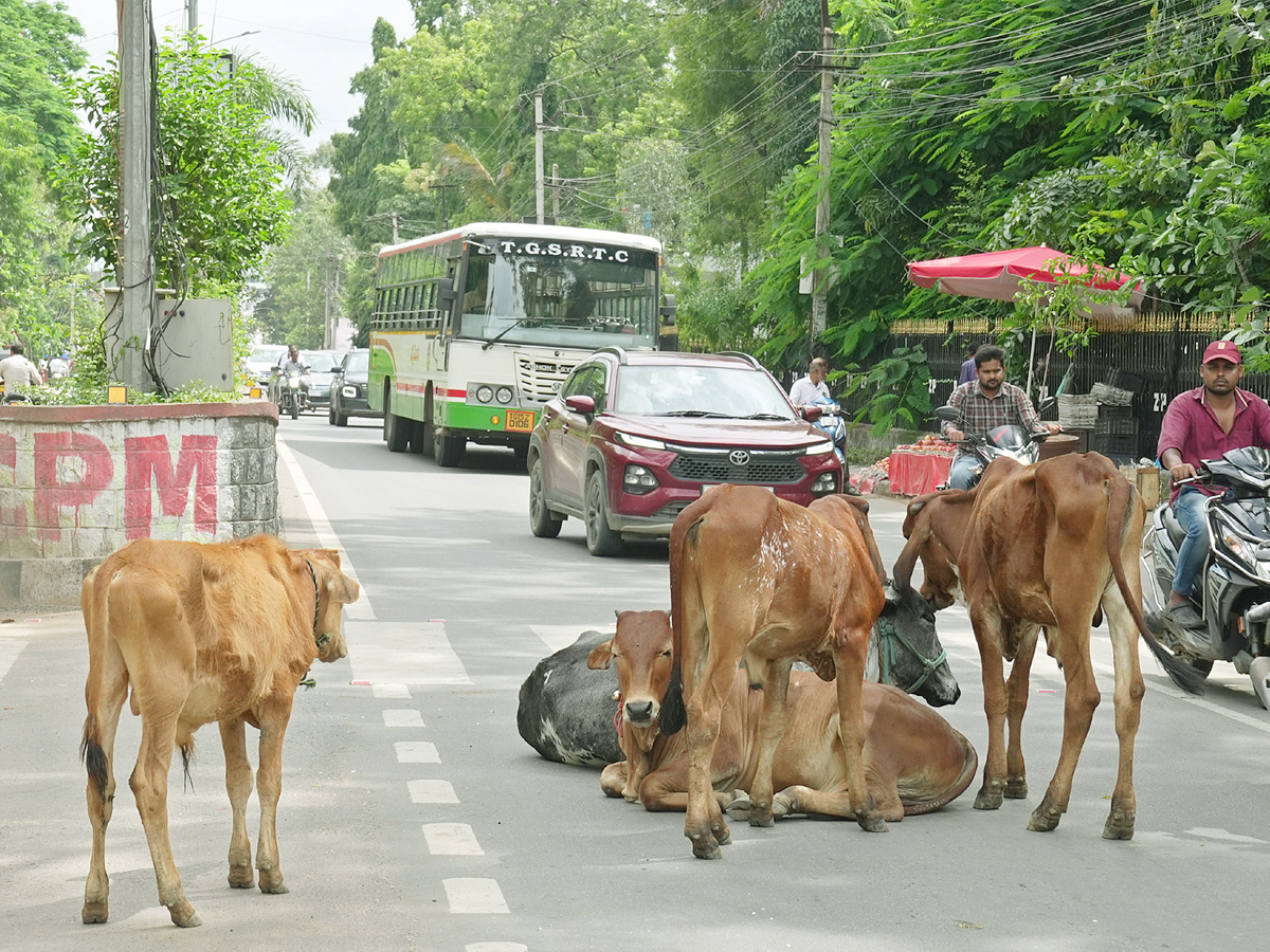 Best Photos of The Week in AP and Telangana Photo Gallery26