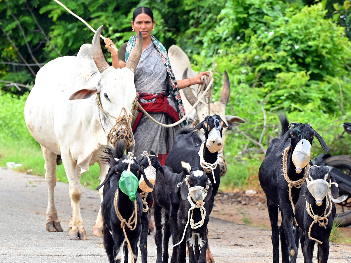 Best Photos of The Week in AP and Telangana Photo Gallery28