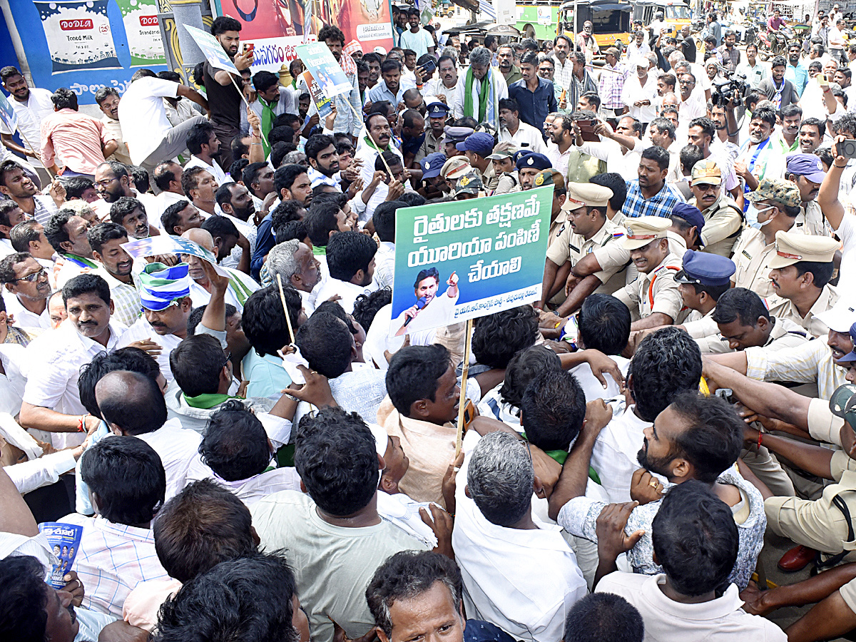 Best Photos of The Week in AP and Telangana Photo Gallery39