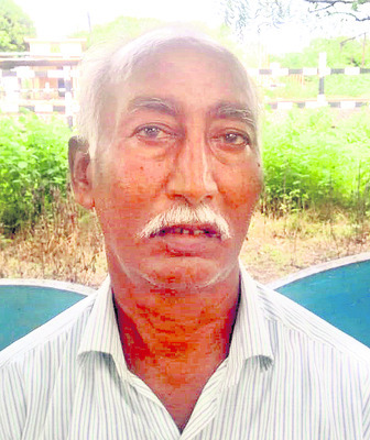 కంపెనీ విత్తనాలు వేసిన
1