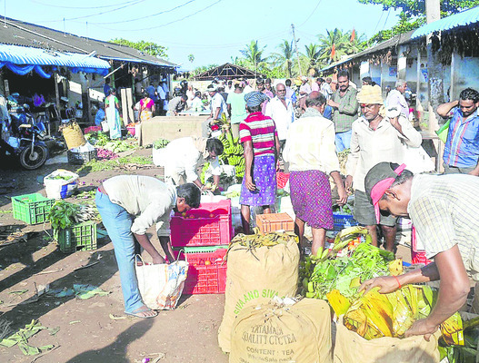 కూరగాయాలు1