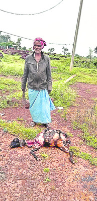 నారాయణపూర్లో తాగునీటి ఎద్డడి 2
