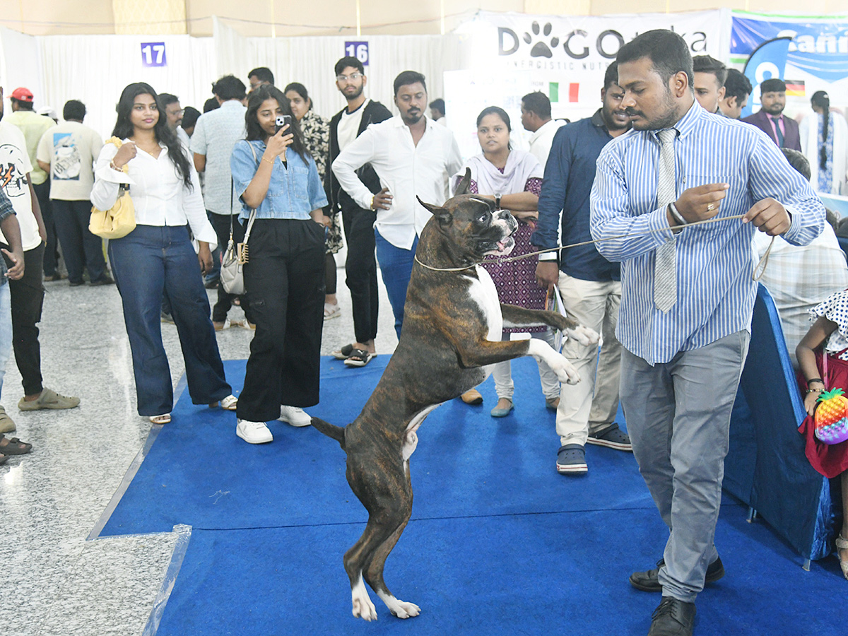 National Dog Show in Visakhapatnam10
