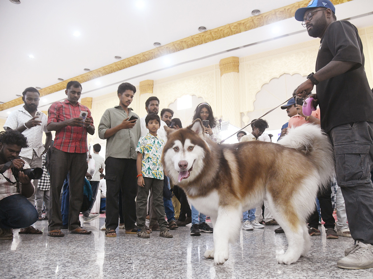 National Dog Show in Visakhapatnam11
