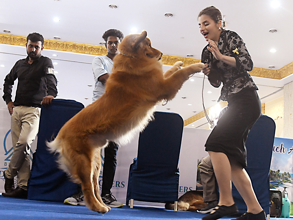 National Dog Show in Visakhapatnam2
