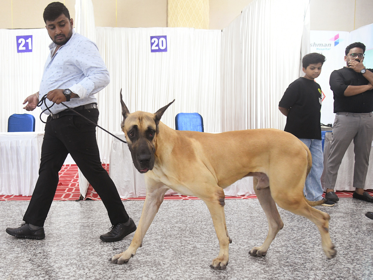 National Dog Show in Visakhapatnam3