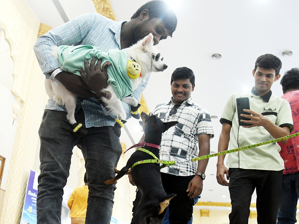 National Dog Show in Visakhapatnam6