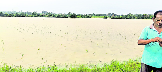 దోబూచులాడుతున్న గోదావరి4