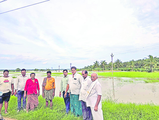 పాడైన పంటల పరిశీలన
1
