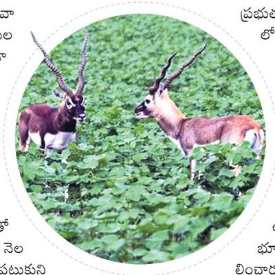 హే కృష్ణా.. ఇకనైనా!1