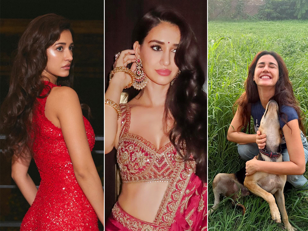 Bollywood Actress Disha Patani Trending Photos1