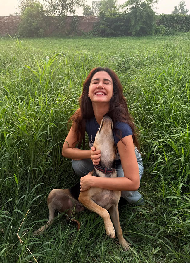 Bollywood Actress Disha Patani Trending Photos12