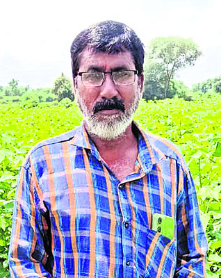 దిగుబడి కష్టమే!2
