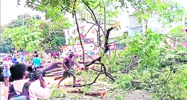 12 జిల్లాలల్లో భారీ వర్షాల అలర్ట్ 1