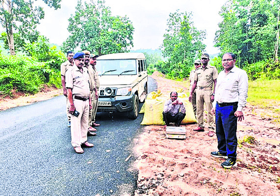 భారీగా గంజాయి పట్టివేత1