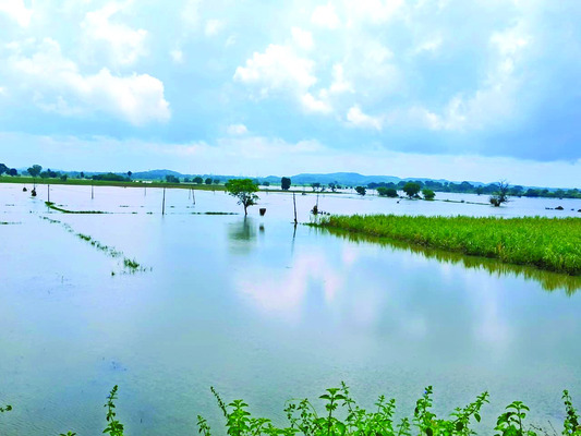 మళ్లీ దంచికొట్టిన వాన1