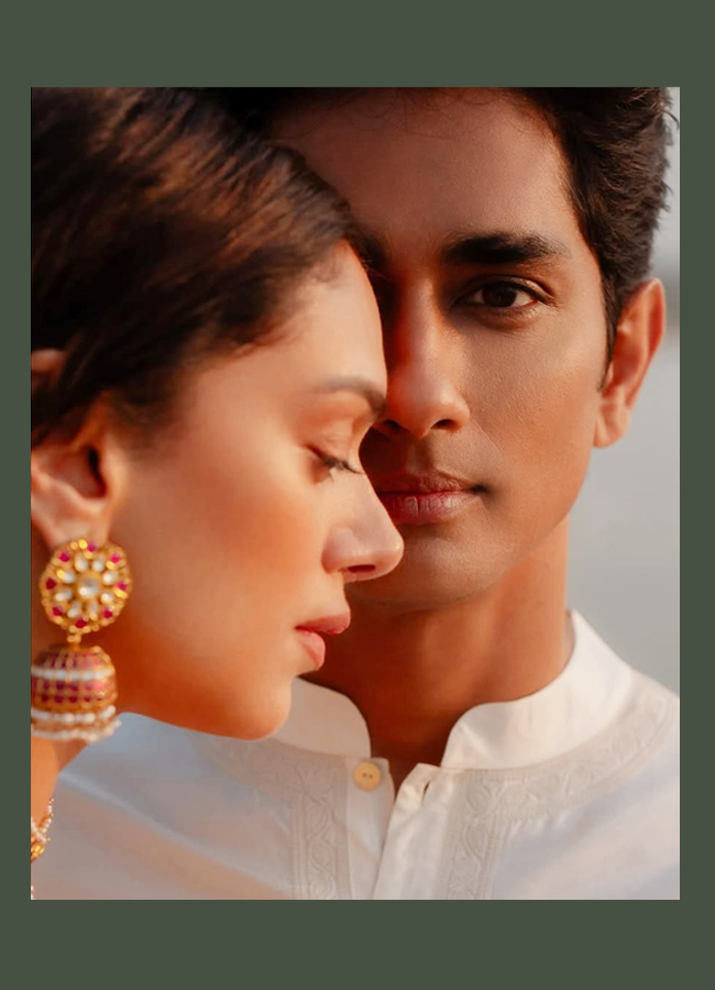 Siddharth-Aditi's Wedding Day Celebrations (Photos)8