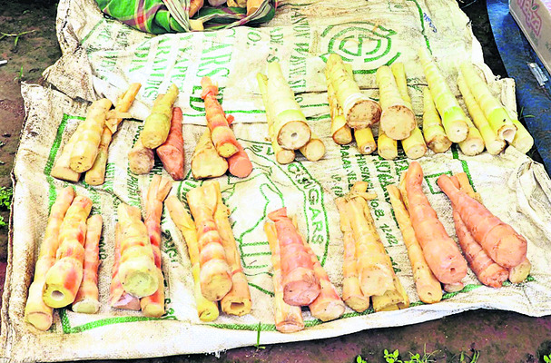 వెదురు కంజి.. ఎంతో ప్రీతి1