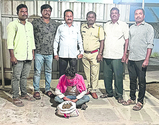 గంజాయి అమ్ముతున్న వ్యక్తి అరెస్టు1