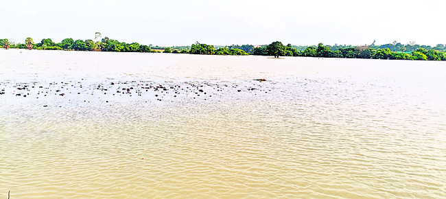 పెరుగుతున్న గోదావరి2