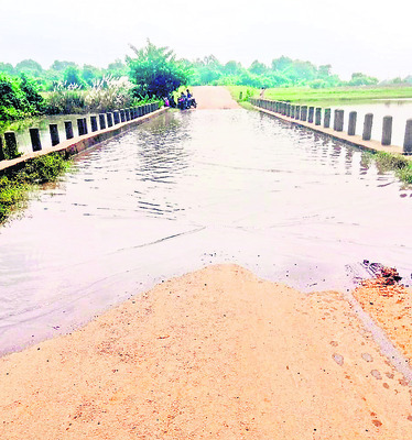 పెరుగుతున్న గోదావరి1