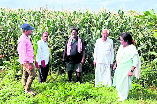 గిరిజన ఆటోడ్రైవర్లకు ఎల్ఎల్ఆర్ 2