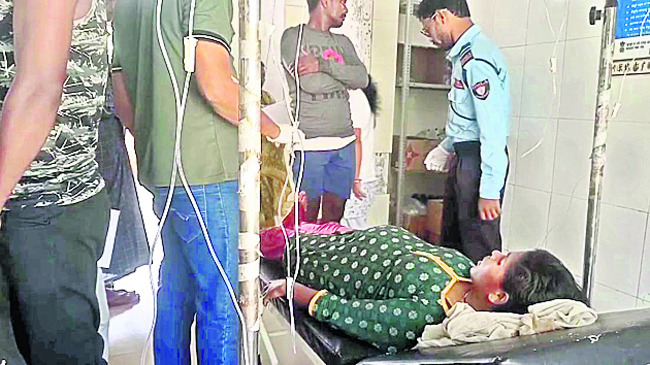 తేనెటీగల దాడిలో  తల్లీకూతుళ్లకు గాయాలు 1