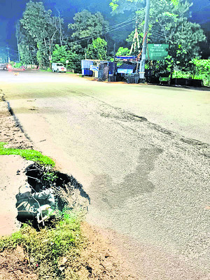 తేనెటీగల దాడిలో  తల్లీకూతుళ్లకు గాయాలు 2