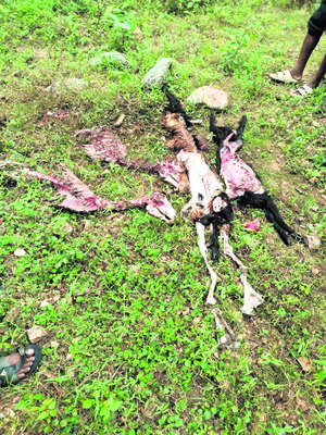 క్రైం కార్నర్‌2
