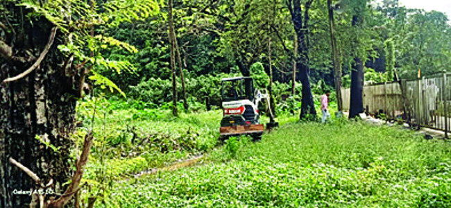 మళ్లీ పుర్రెల గోల 1