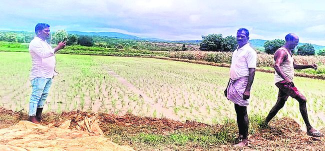పంట నష్టపరిహారం.. పంటల బీమా .. పంట రుణాలు.. సున్నా వడ్డ1
