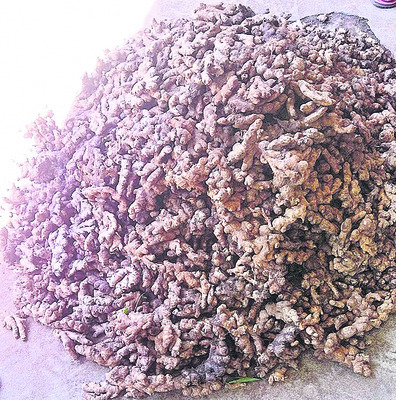 ఆడలి వ్యూపాయింట్‌ సందర్శన2