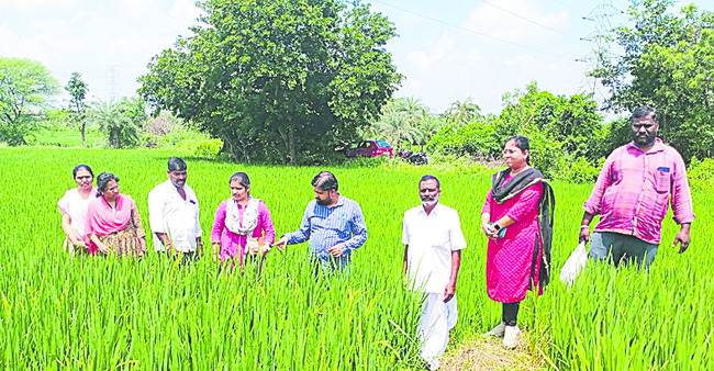 నేడు ఎస్సీ, ఎస్టీ  కమిషన్‌ చైర్మన్‌ రాక 
2