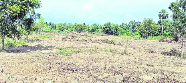 ● కుట్రను పసిగట్టారు.. అక్రమార్కుల పనిపట్టారు 1