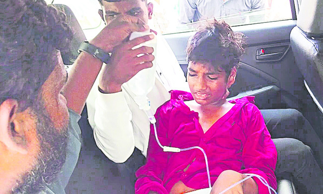 పశువులకు మెరుగైన సేవలు 1