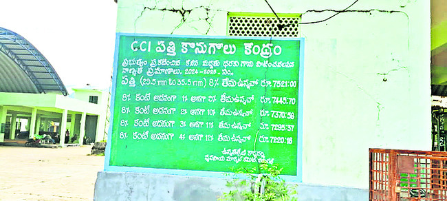 పత్తి కొనుగోళ్లకు పూజలు 1