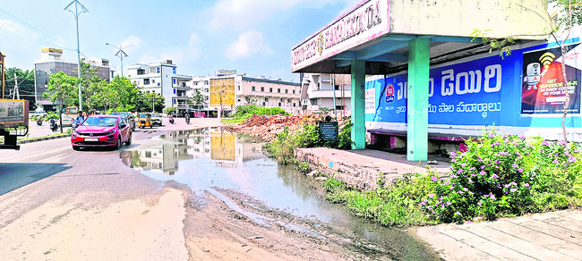 రోడ్ల వెంట రోత.. వ్యాధుల మోత1