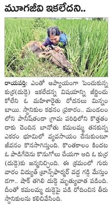 జాతీయ స్థాయి కిక్‌ బాక్సింగ్‌ పోటీలకు ఎంపిక 
1