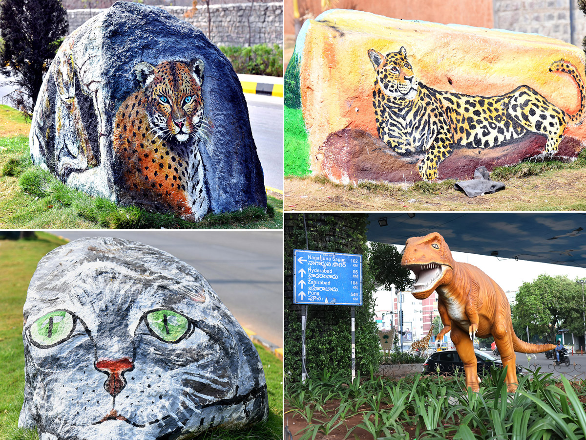 Wild Animals in Hyderabad Roads 1