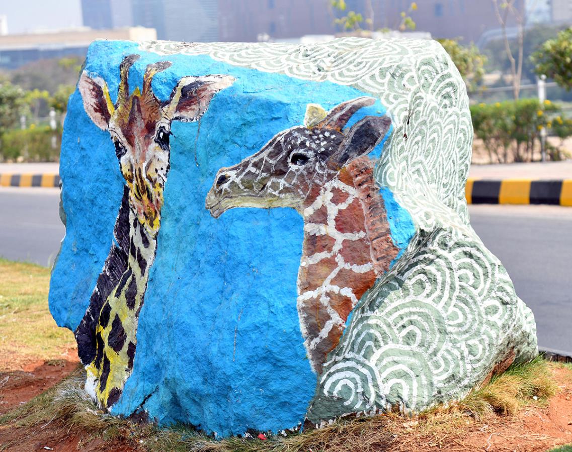 Wild Animals in Hyderabad Roads 10