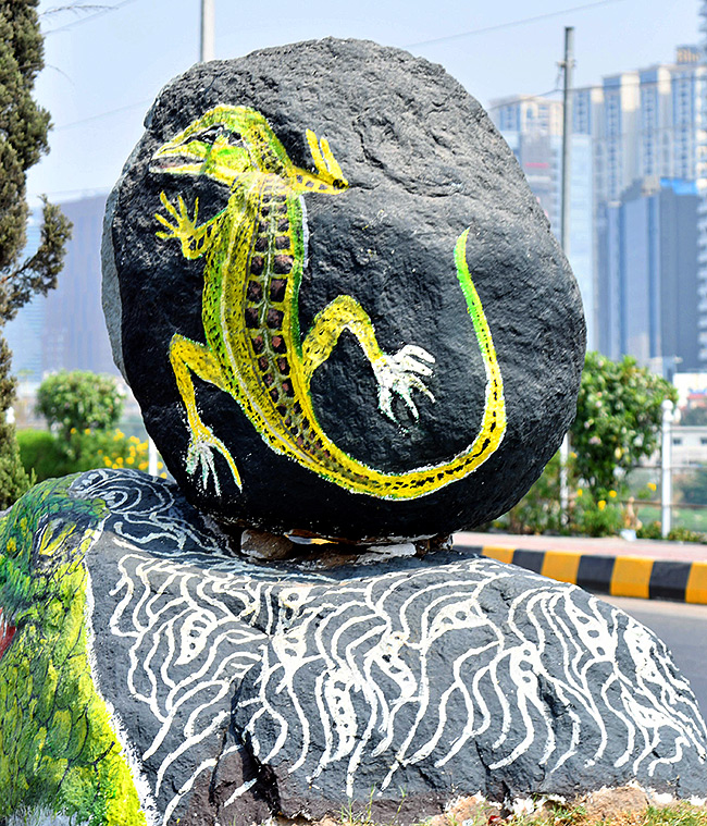 Wild Animals in Hyderabad Roads 12