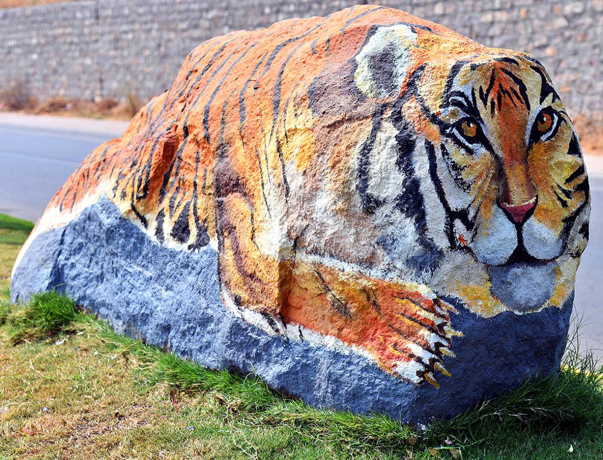 Wild Animals in Hyderabad Roads 18
