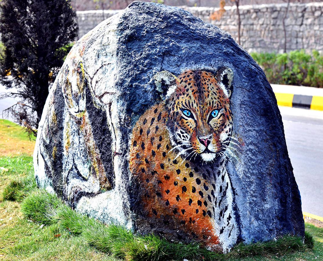 Wild Animals in Hyderabad Roads 19