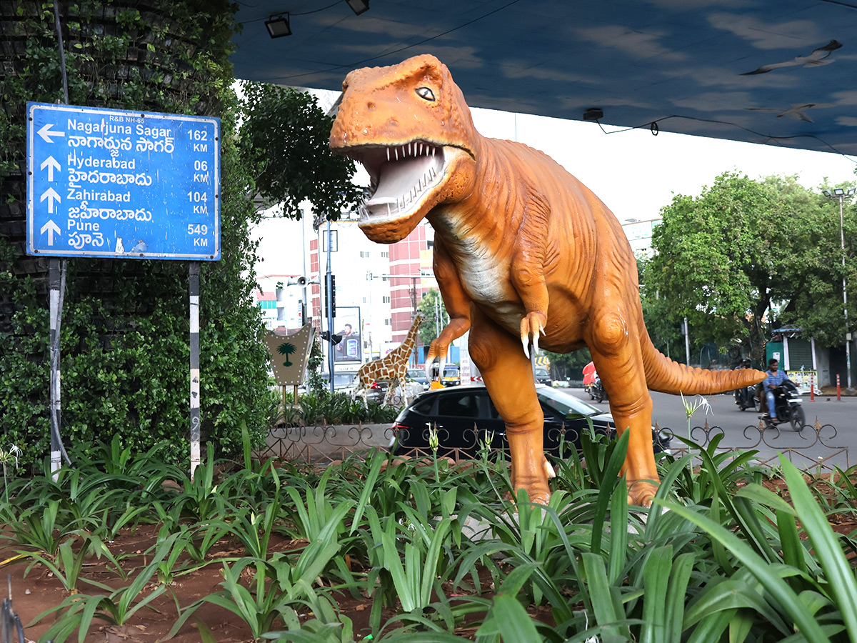 Wild Animals in Hyderabad Roads 2